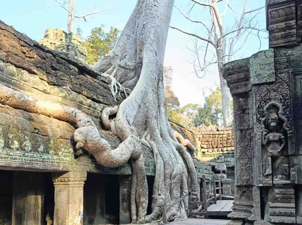 IMG_20260724_170310 | Guías de Angkor
