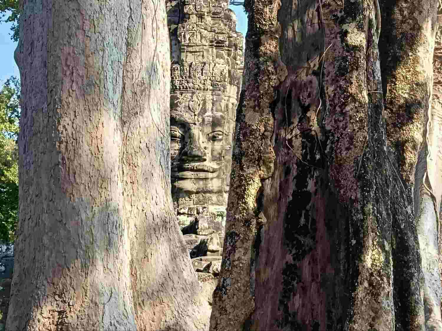 Inicio Cara de Buda en Angkor Thom – tour en español